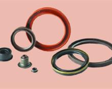 Oil Seals