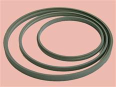 PTFE Seals