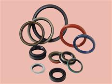 Oil Seals In MM