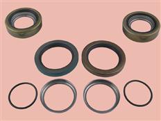 Bearing Seals